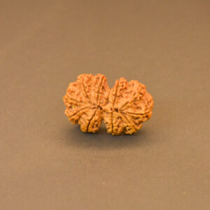 Gauri Shankar Rudraksha Nepali